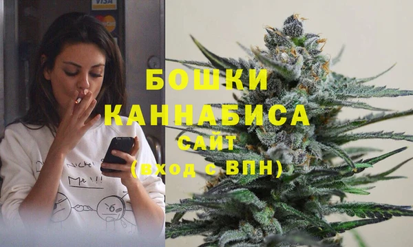 Альфа ПВП Нея