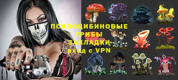 Альфа ПВП Нея