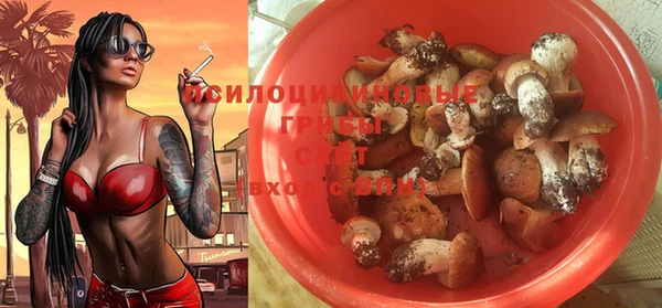 мет Нефтегорск