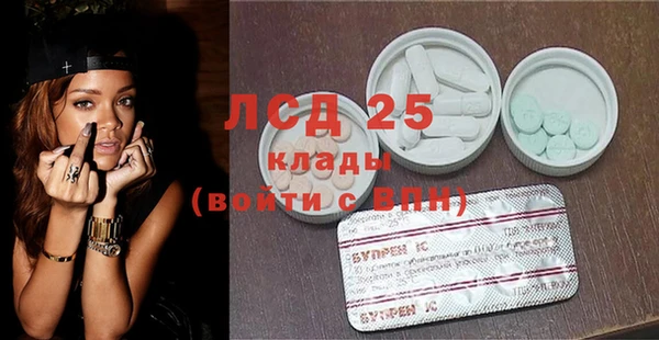 прущие грибы Надым