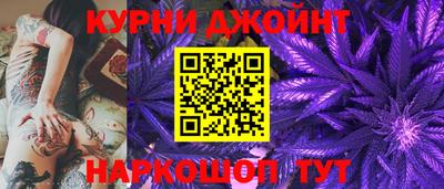 mdpv Заводоуковск