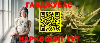 mdpv Заводоуковск