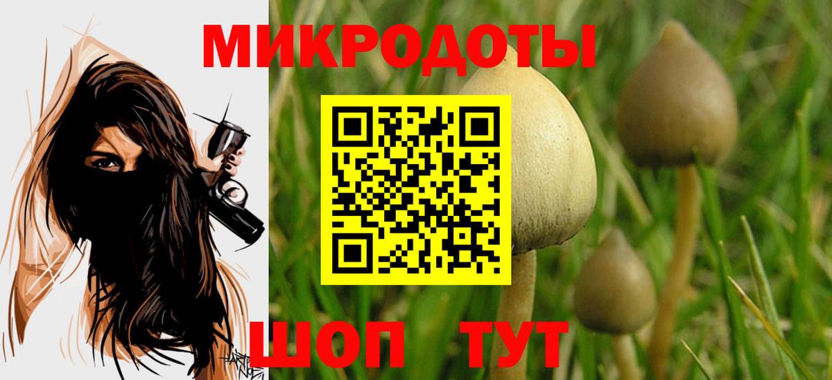 Псилоцибиновые грибы Psilocybe Клинцы